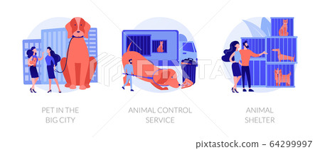 Pet maintenance vector concept metaphors 64299997