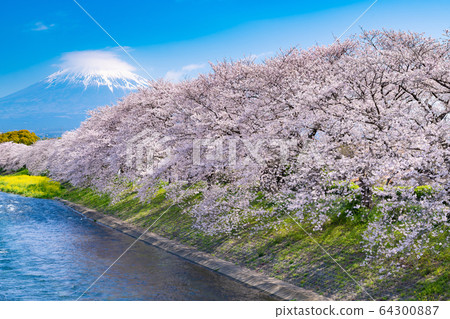 Fuji city, Shizuoka prefecture Fuji city, Shizuoka prefecture 64300887