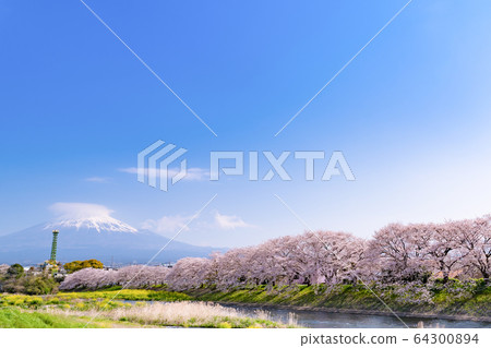 Fuji city, Shizuoka prefecture Fuji city, Shizuoka prefecture 64300894