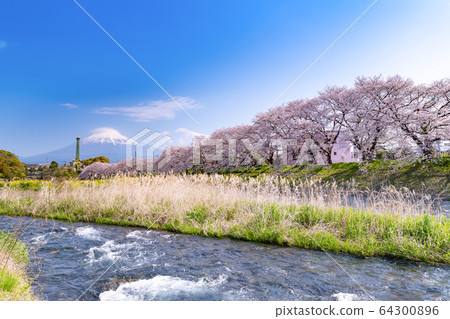 靜岡縣富士市 64300896