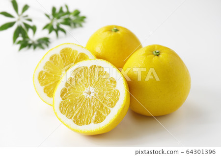 Kawachi late citrus Kawachi late citrus 64301396