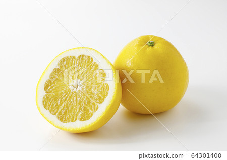 河內晚柑桔 河內晚柑桔 64301400