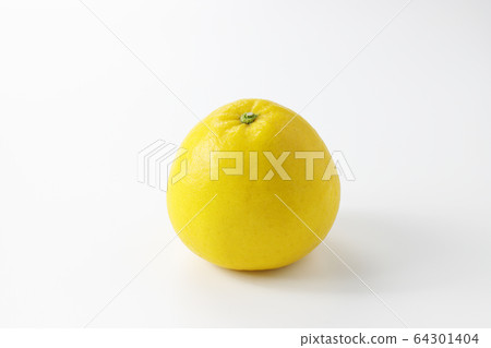 Kawachi late citrus Kawachi late citrus 64301404