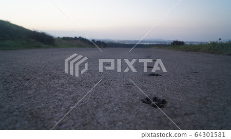 footprint footprint 64301581