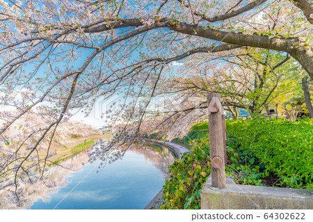 Japanese spring Soka Matsubara 64302622