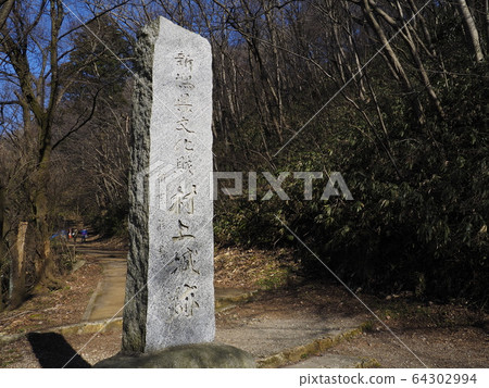 Shiroyama (Waushiyama) [Murakami City, Niigata Prefecture] 64302994