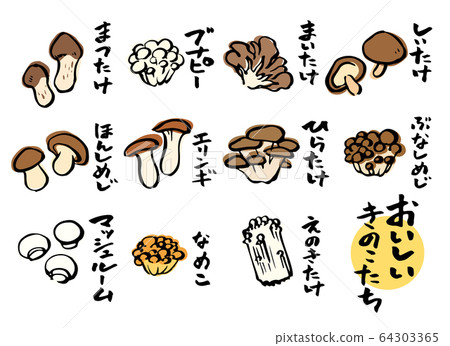 蘑菇插圖 蘑菇插圖 64303365