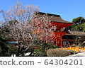 紅門和櫻花 64304201