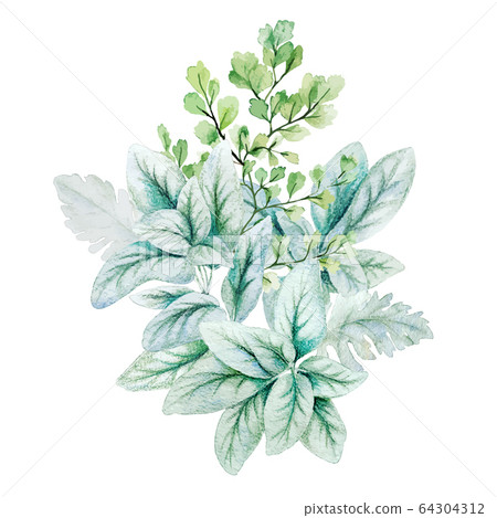 Greenery decorative bouquet, composed of fresh green leaves Greenery decorative bouquet, composed of fresh green leaves 64304312