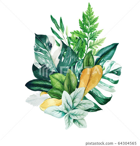 Herbal watercolor bouquet with ferns and monstera 64304565