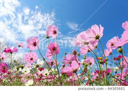 藍天和宇宙 藍天和宇宙 64305681