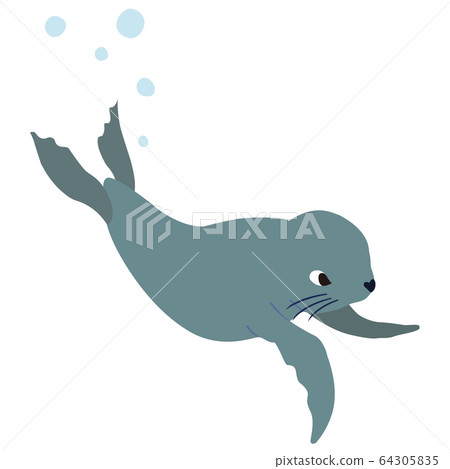 簡單的海獅圖 64305835