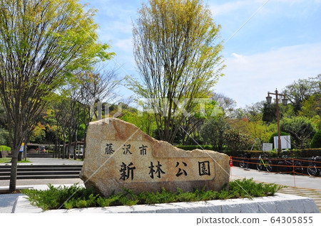 Fujisawa City, Kanagawa Prefecture Shinbayashi Park entrance and fresh greenery Fujisawa City, Kanagawa Prefecture Shinbayashi Park entrance and fresh greenery 64305855