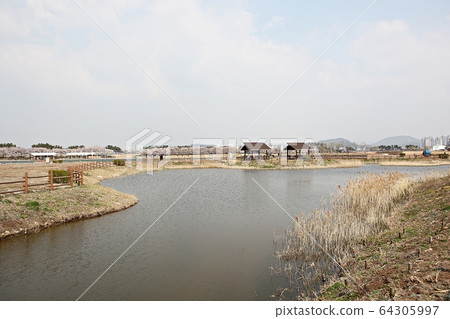 始興市潮灘生態公園 始興市潮灘生態公園 64305997
