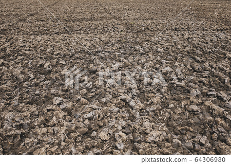 耕地春季稻田A-2磨砂漆 64306980