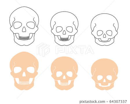 Skeleton1 Skeleton1 64307337