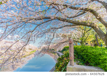 Japanese spring Soka Matsubara 64307626