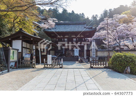 Okadera 64307773