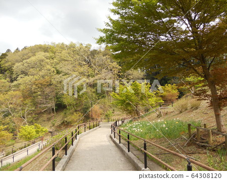 View of the park 64308120