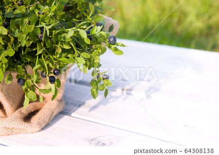 Blueberries in cloth bag on wooden background Blueberries in cloth bag on wooden background 64308138