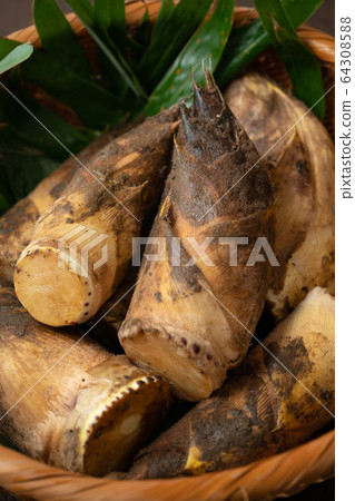 漏勺泥筍 64308588