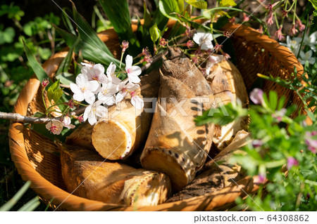 Mud bamboo shoots in a colander Mud bamboo shoots in a colander 64308862