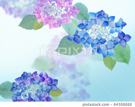 背景繡球花雨季 64308888