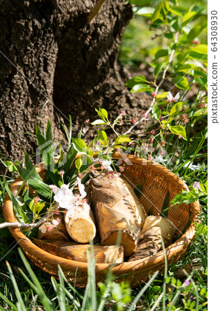 漏勺泥筍 64308930