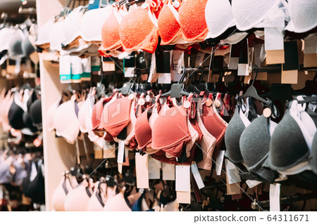 Female Woman Bra Brassiere On Hanger In Store Of Shopping Center Female Woman Bra Brassiere On Hanger In Store Of Shopping Center 64311671