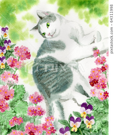 櫻草花和貓畫水彩 64311998