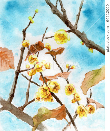 水彩畫的花by樹枝和花朵 64312000