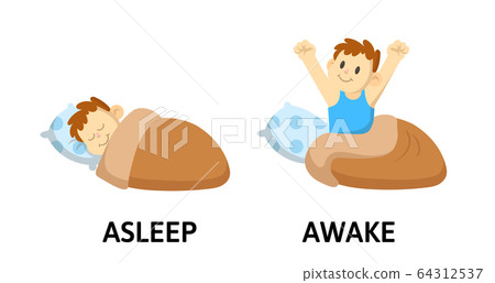 Words asleep and awake flashcard with cartoon...-插圖素材 [64312537] - PIXTA圖庫