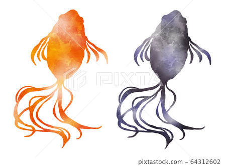 金魚紅色和黑色水彩風格的插圖 64312602
