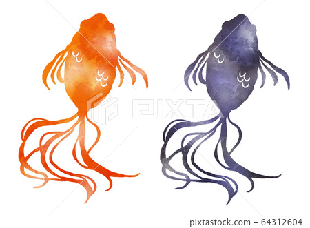 金魚紅色和黑色水彩風格的插圖 64312604