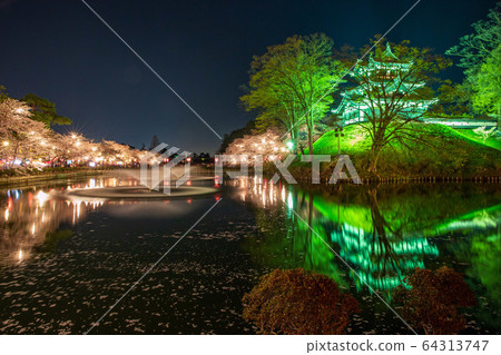 Cherry blossoms at Takada castle at night Cherry blossoms at Takada castle at night 64313747