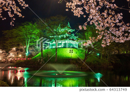 Cherry blossoms at Takada castle at night 64313749