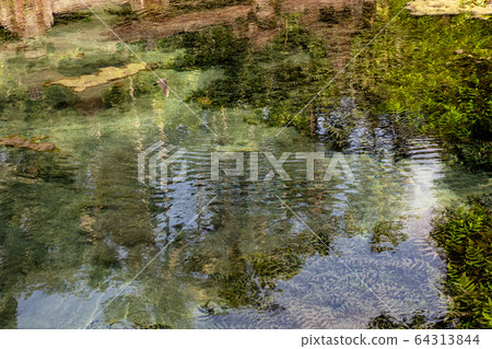 Pure holy water located in Tirta Empul in Bali Pure holy water located in Tirta Empul in Bali 64313844