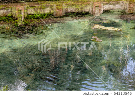 Pure holy water located in Tirta Empul in Bali Pure holy water located in Tirta Empul in Bali 64313846