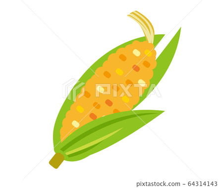玉米 玉米 64314143