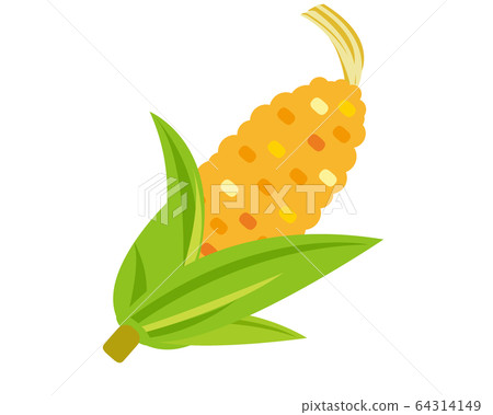 玉米 玉米 64314149