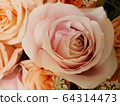 Close-up of the pink rose flower bouquet with soft focus. 64314473