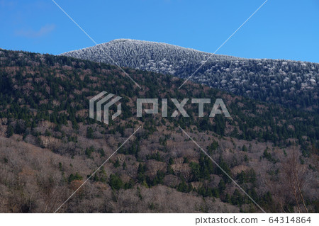 Seiyu Azuma Sky Valley 64314864