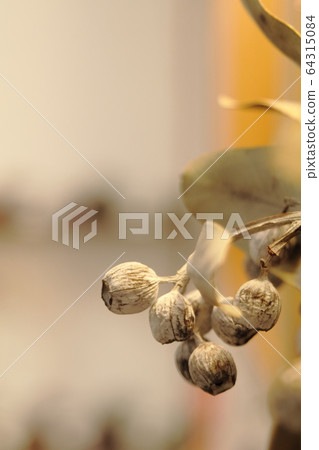 Symphorical Pos 64315084
