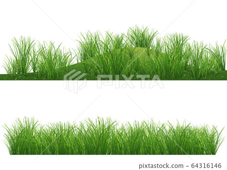 Grass Backgrounds 64316146