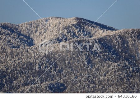 霜,雪,雲杉,雲杉,冬山 霜,雪,雲杉,雲杉,冬山 64316160