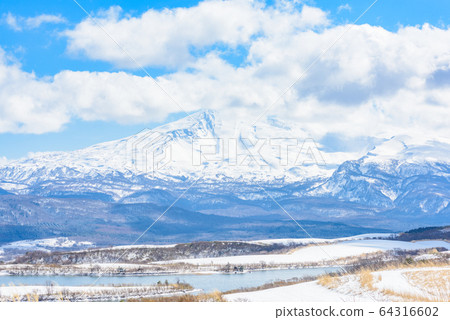 初春的Cho海 64316602