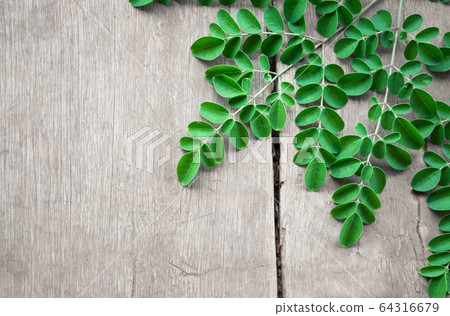Closeup top view moringa leaves branch on wood Closeup top view moringa leaves branch on wood 64316679