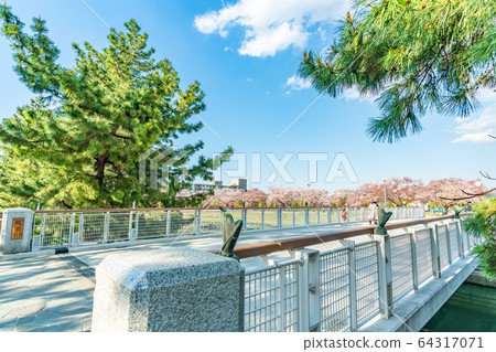 日光海道國家指定的風景名勝松原創價和櫻花風景 64317071