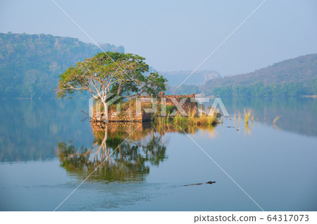 Serene morning on lake Padma Talao. Ranthambore National Park, Rajasthan, India 64317073