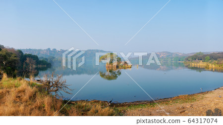 Serene morning on lake Padma Talao. Ranthambore National Park, Rajasthan, India 64317074